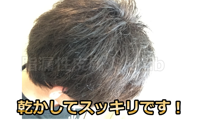 カダソンスカルプシャンプー乾かす